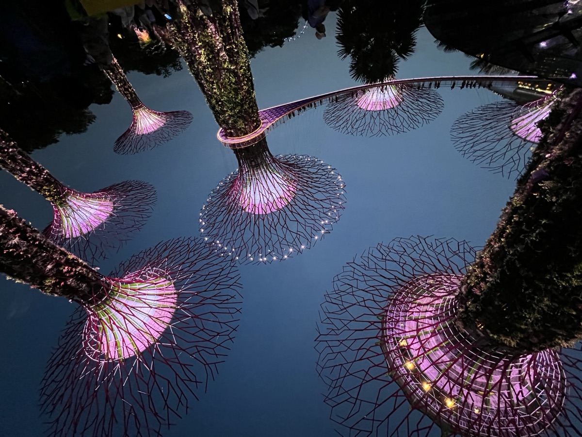 Supertree Grove at Gardens by the Bay, Singapore
